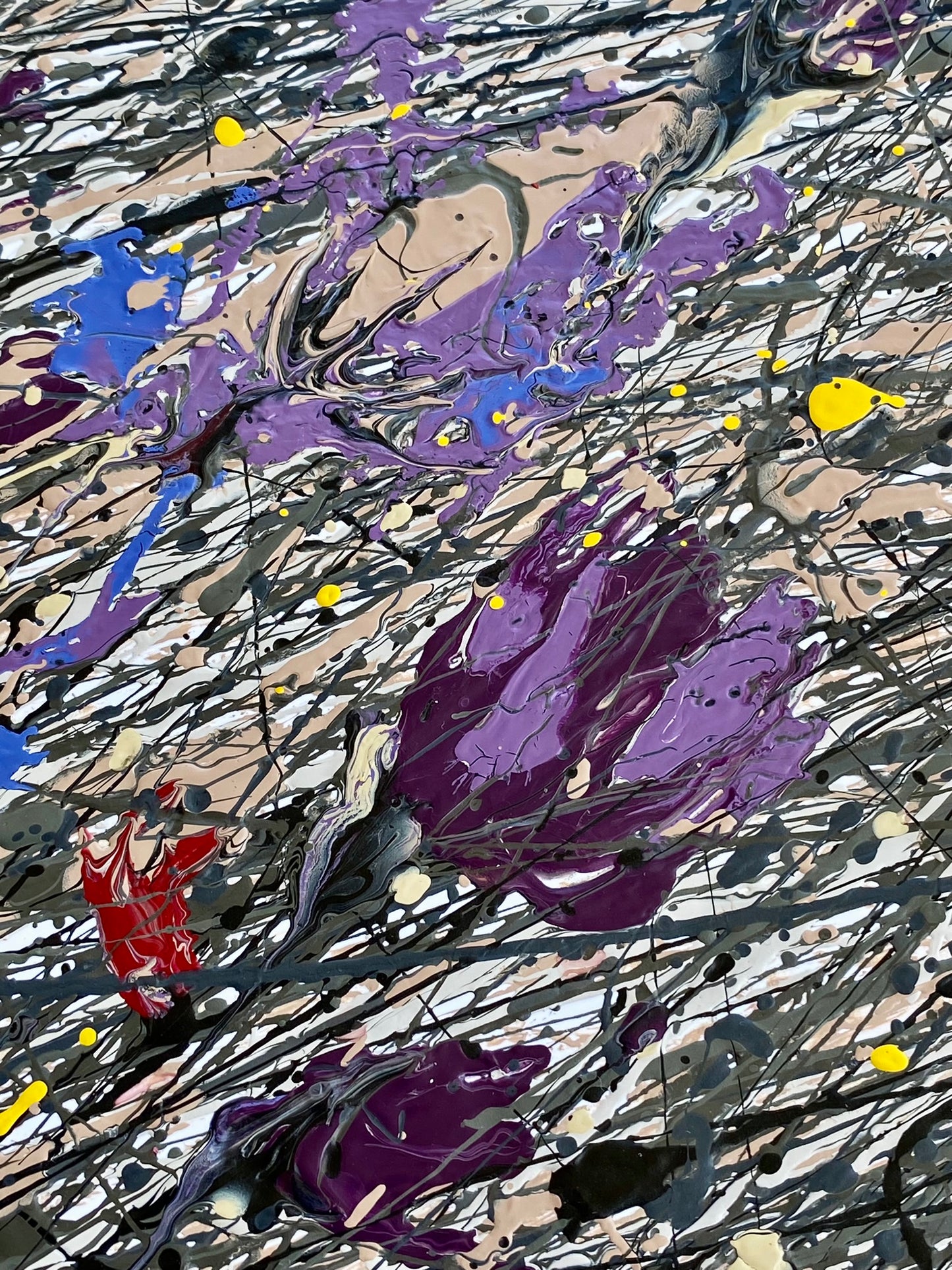 Dry Flowers on the Snow