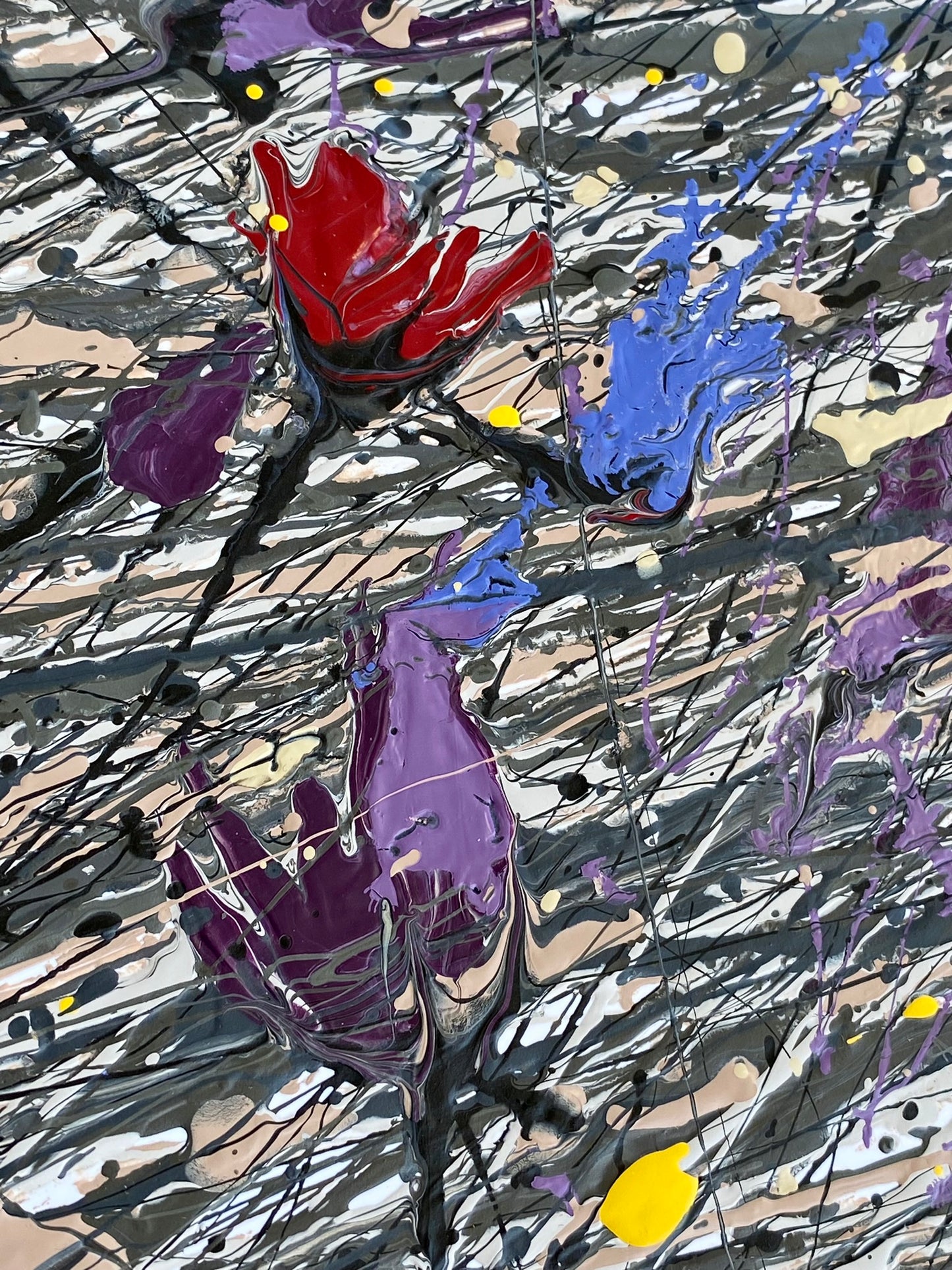 Dry Flowers on the Snow