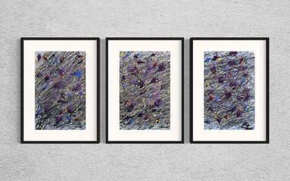 Dry Flowers on the Snow