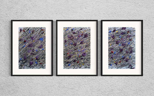 Dry Flowers on the Snow