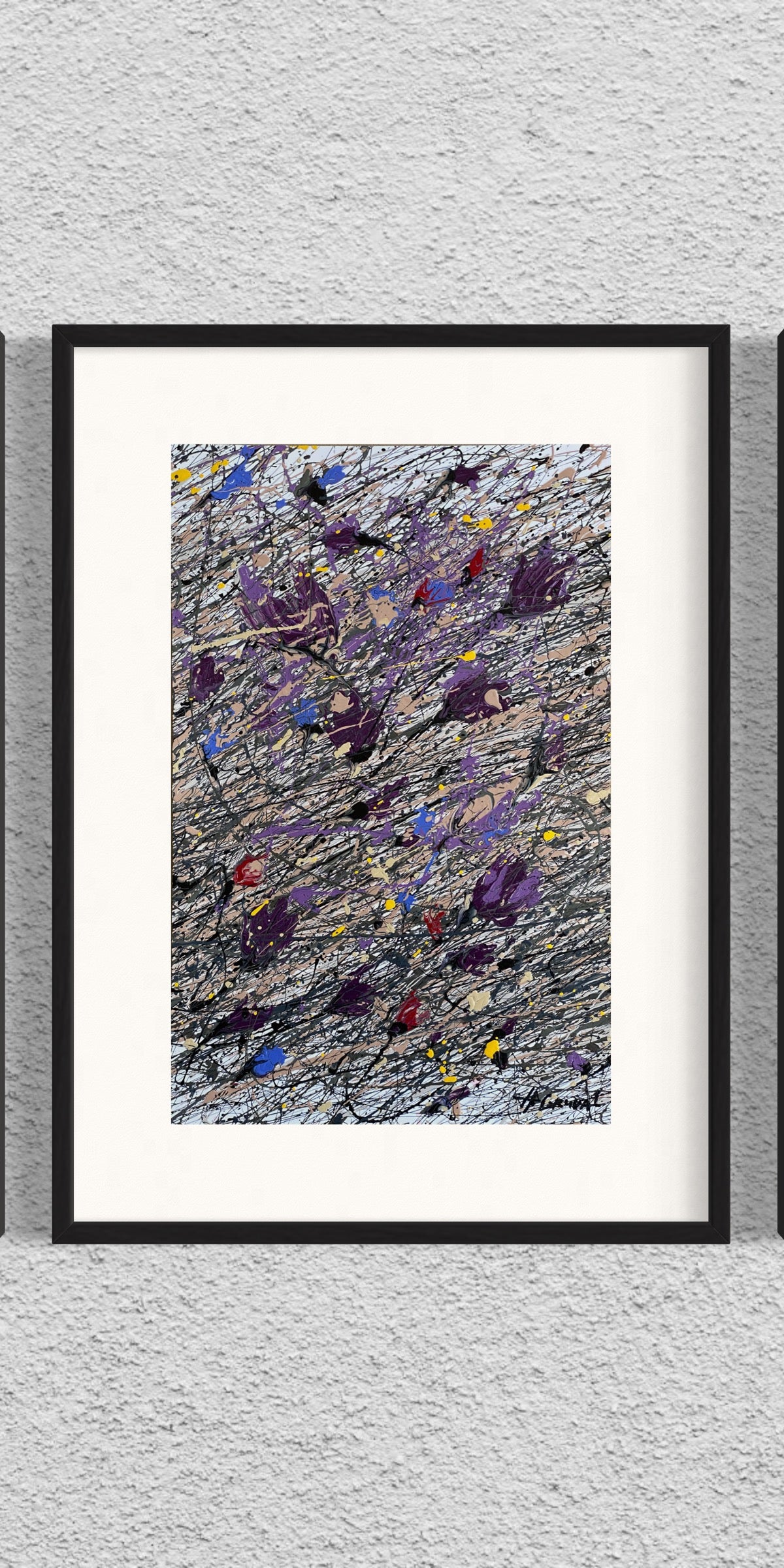 Dry Flowers on the Snow